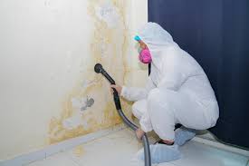 Reliable North Bellmore, NY Mold Removal Solutions